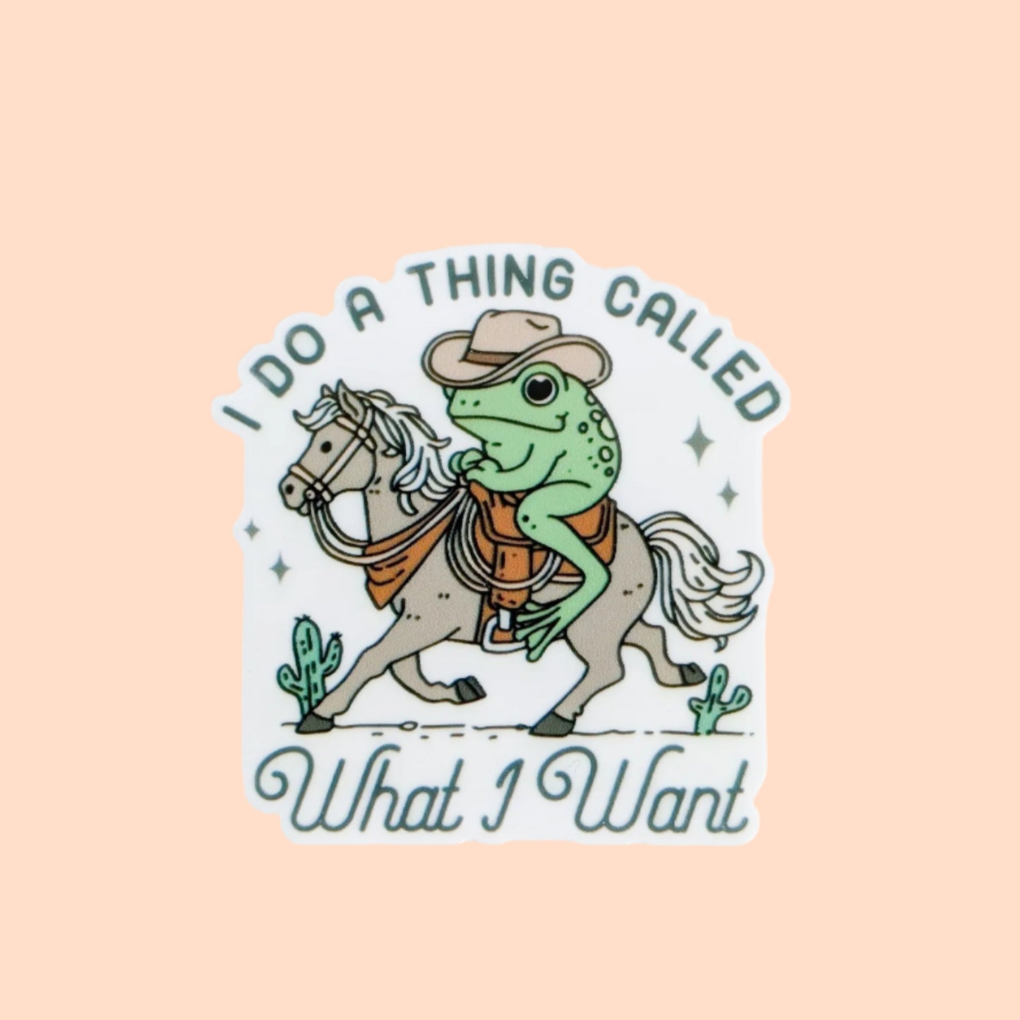 I Do A Thing Called What I Want / PLASTIC Add on