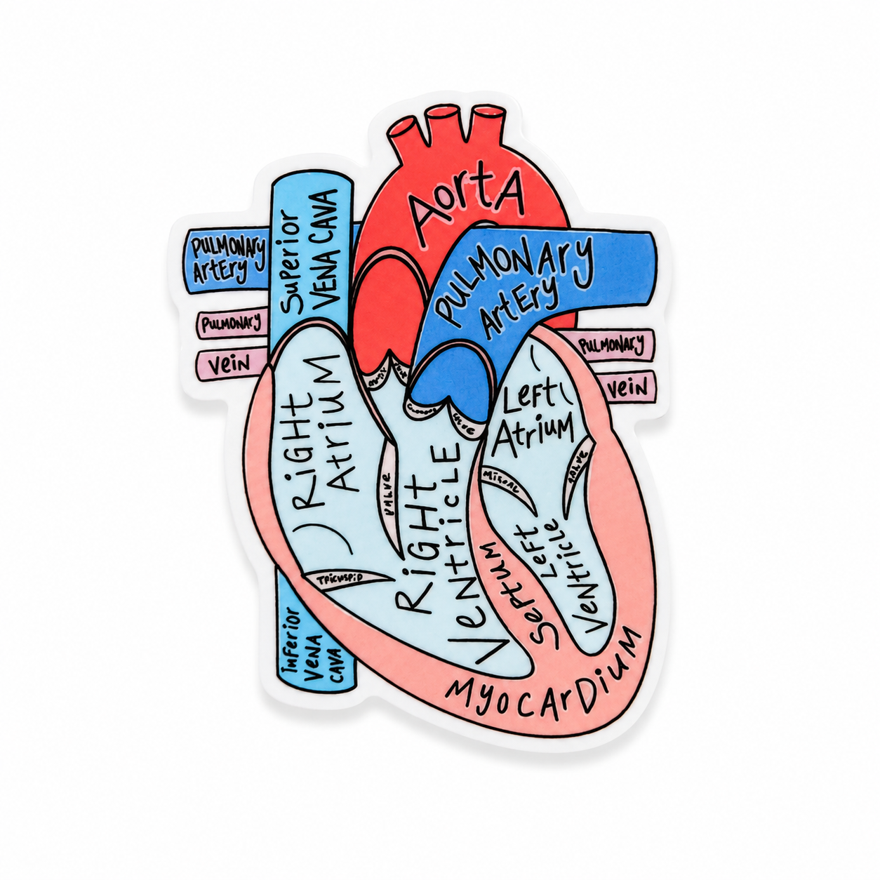 Anatomical Heart plastic add-on featuring a labeled heart diagram, compatible with interchangeable badge reel bases for cardiology and healthcare professionals.