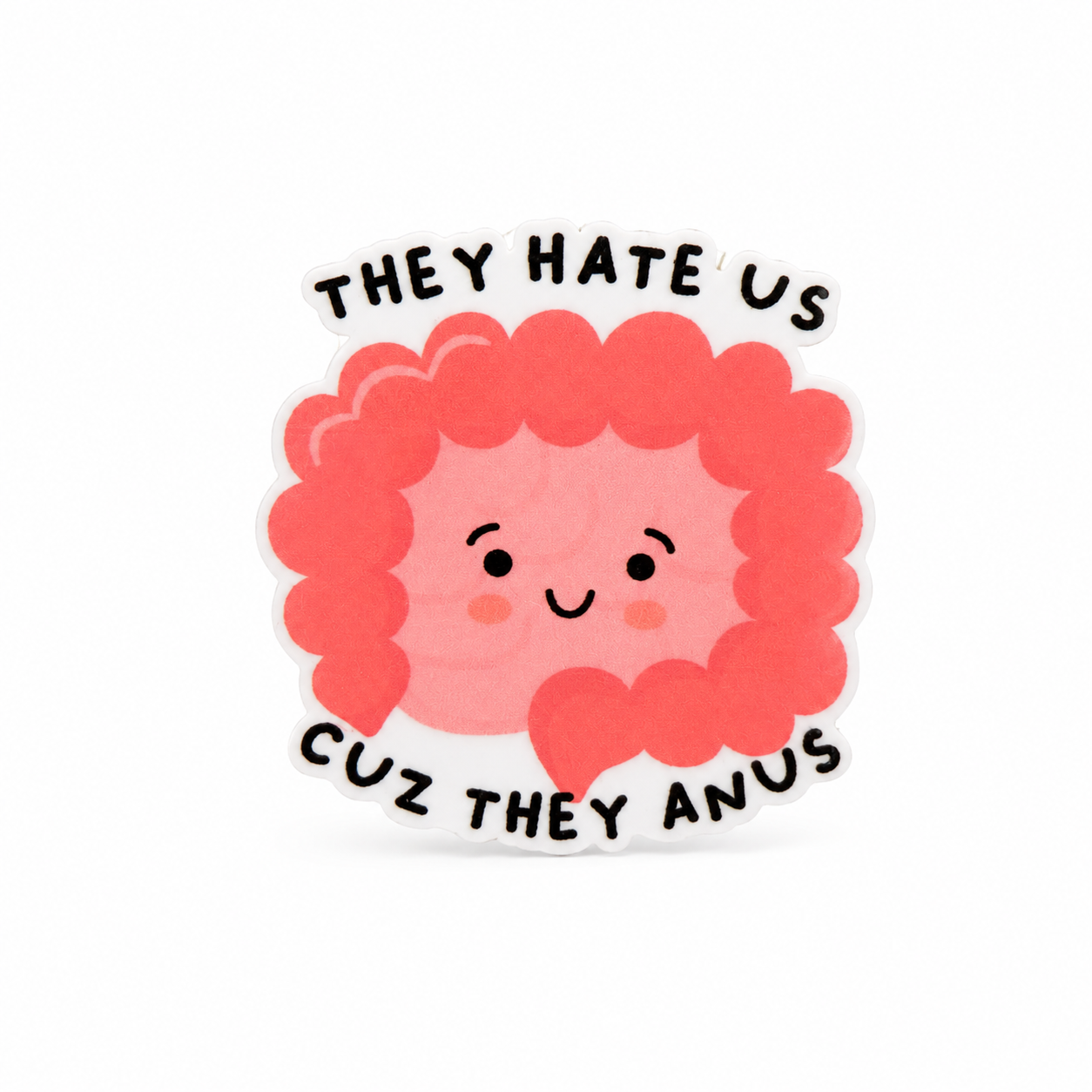 They Hate Us Cuz They Anus plastic add-on featuring a cute smiling intestine illustration, compatible with interchangeable badge reel bases for GI healthcare professionals.