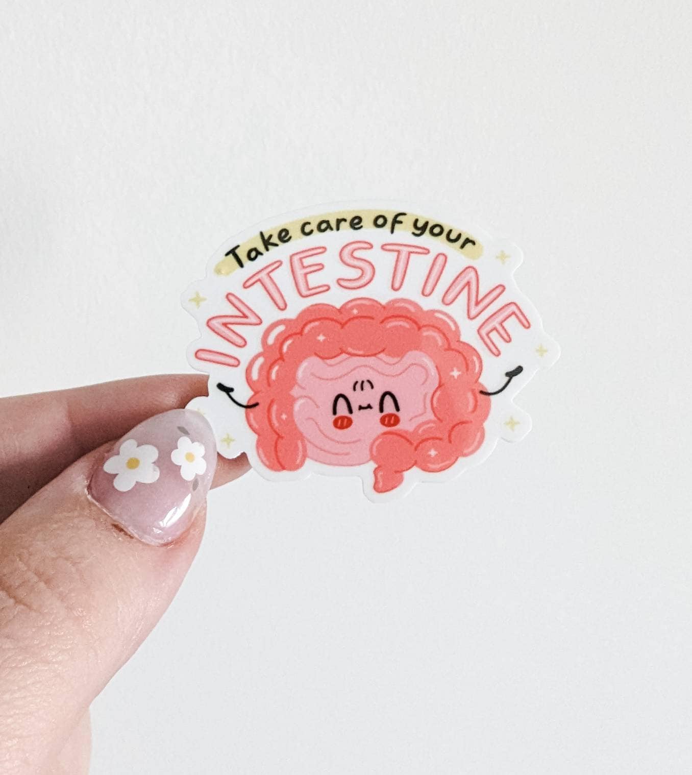 Take Care of your Intestines / endoscopy / PLASTIC Add on