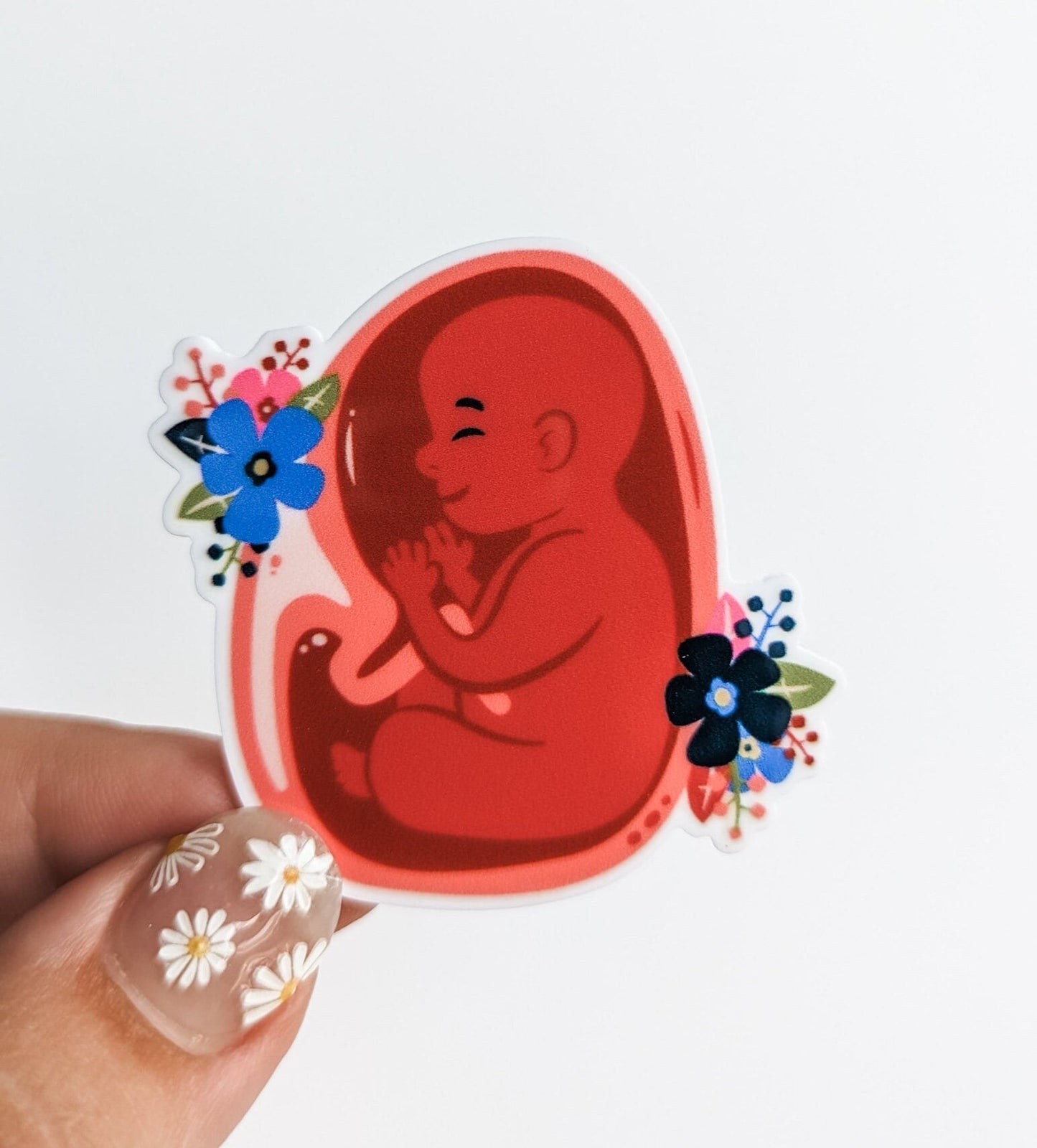Baby in Utero / Labor Delivery OB / PLASTIC Add on / 11A43