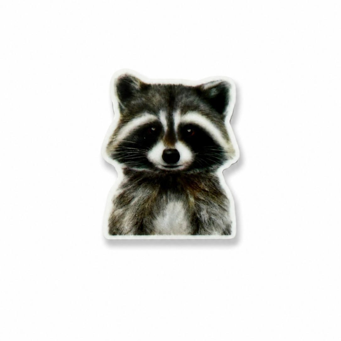 Raccoon / PLASTIC Add on