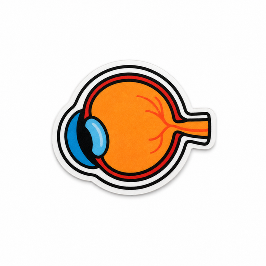 Anatomical eye plastic add-on for compatible interchangeable badge reel bases featuring a colorful ophthalmology anatomy design