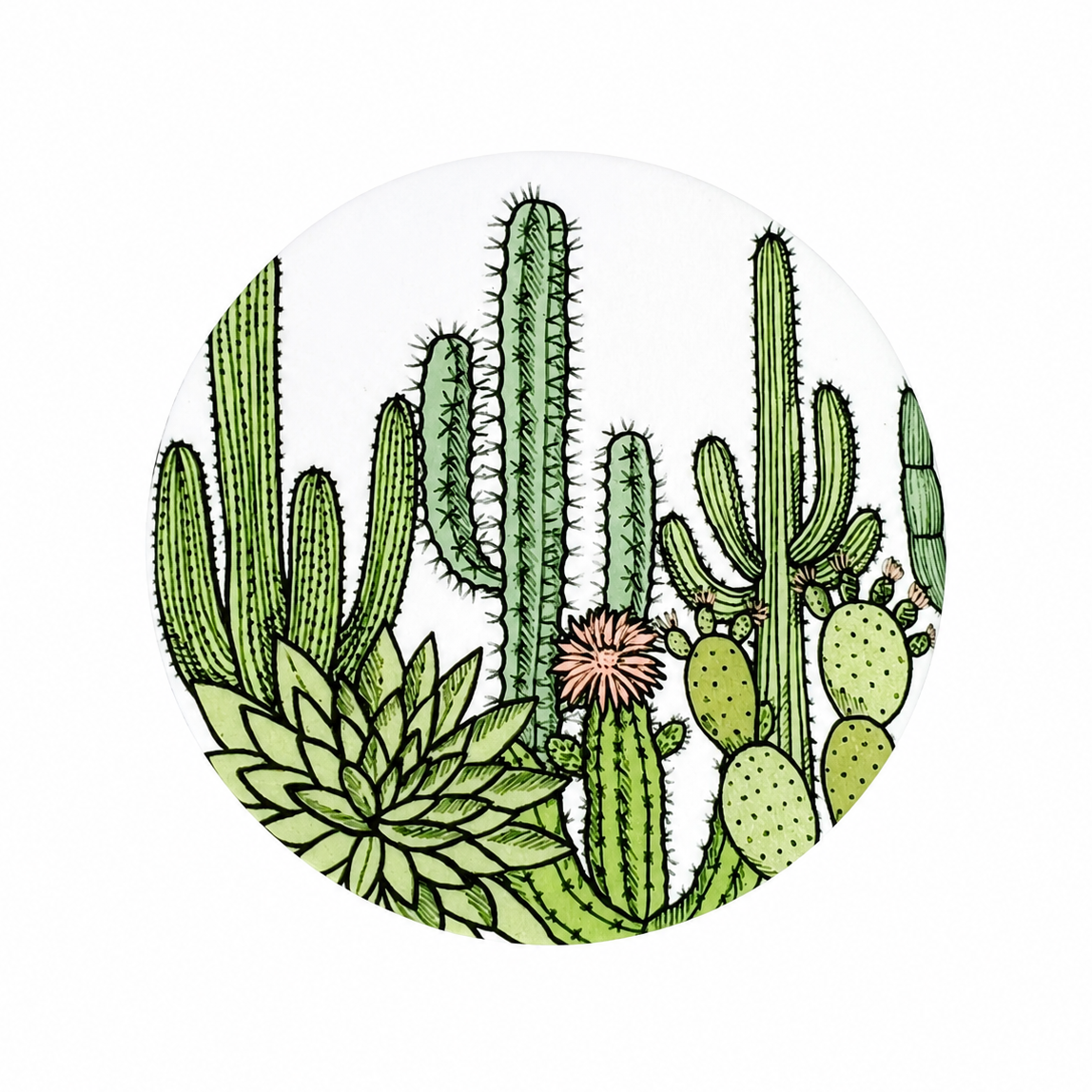 Desert Cactus Garden hard board add-on featuring detailed green cacti, succulents, and blooming flowers, compatible with interchangeable badge reel bases.