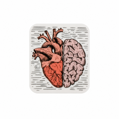 Heart and Brain plastic add-on featuring an anatomical heart and brain illustration, compatible with interchangeable badge reel bases for healthcare professionals and medical students.
