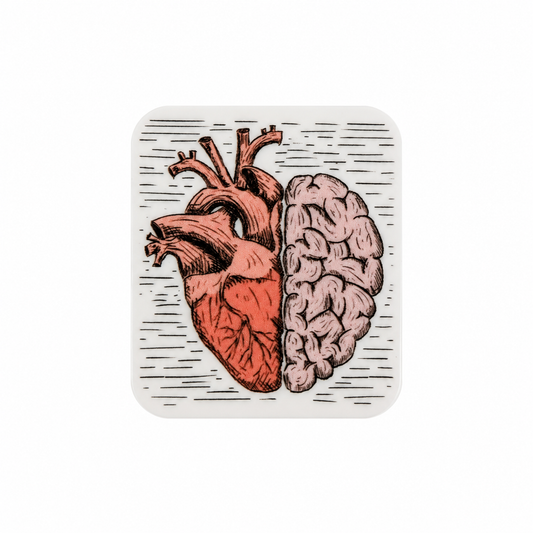 Heart and Brain plastic add-on featuring an anatomical heart and brain illustration, compatible with interchangeable badge reel bases for healthcare professionals and medical students.