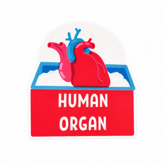 Human Organ plastic add-on with heart in cooler design, compatible with interchangeable badge reel bases, funny healthcare accessory.