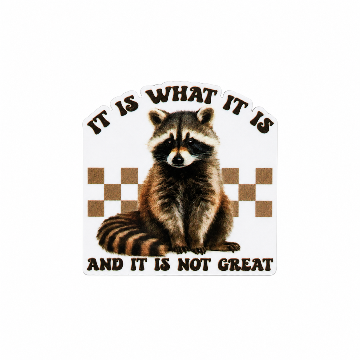 IT IS WHAT IT IS AND IT IS NOT GREAT plastic add-on featuring a raccoon with retro checkerboard accents, compatible with interchangeable badge reel bases, funny animal accessory
