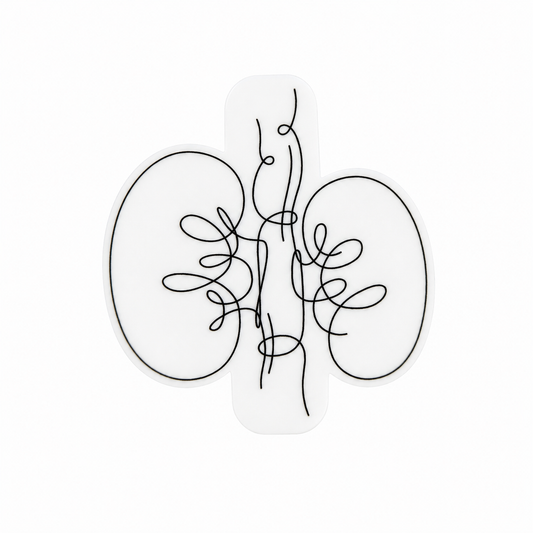 Minimalist kidney line art plastic add-on compatible with interchangeable badge reel bases, nephrology and renal healthcare accessory for nurses and dialysis staff