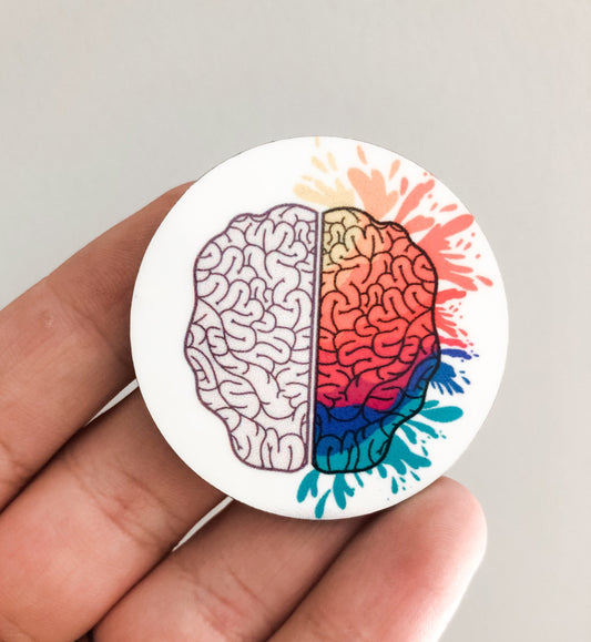 Colorful Brain / Anatomy / Hardboard Add on / 3B19