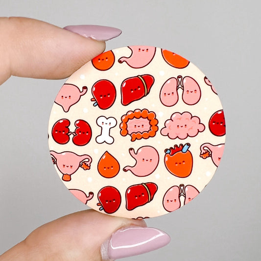 Fun Organs / Brain Heart Intestine Kidney Liver Bone / Hardboard Add on / 3B30