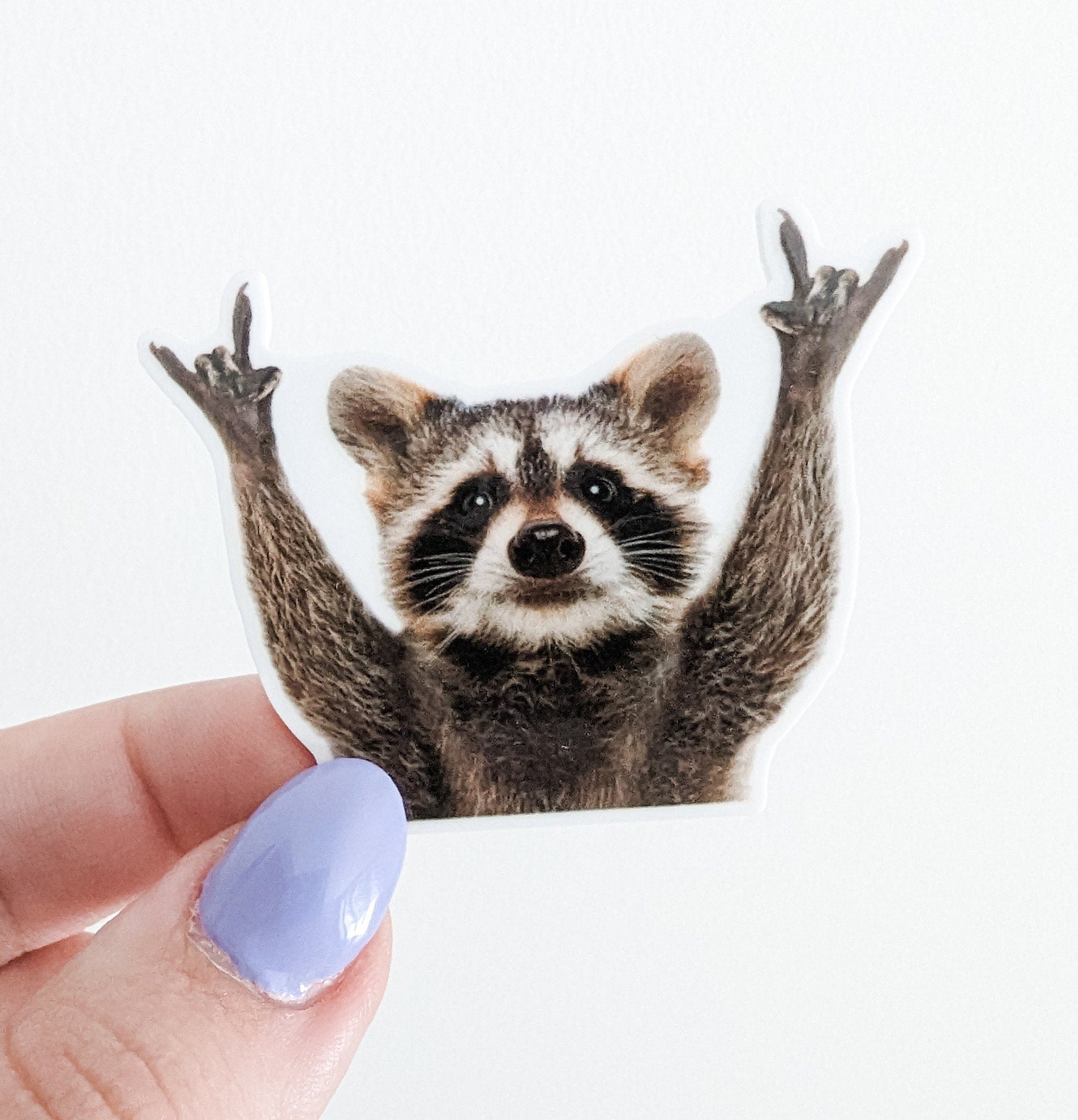 Raccoon / PLASTIC Add on / 13C19