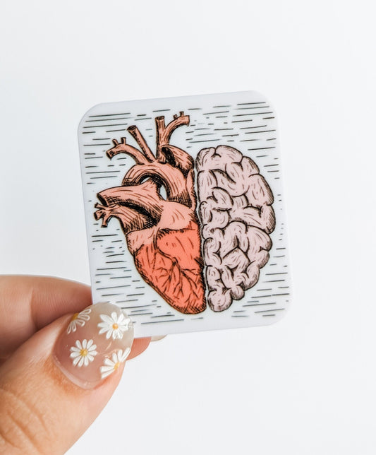 Heart Brain / Medical / PLASTIC Add on / 11A44