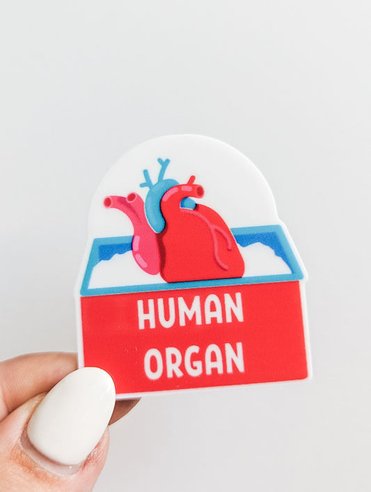 Human Organ / Transplant Nurse   / PLASTIC Add on / 14B38