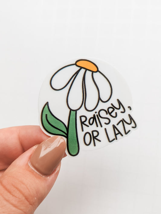 Raisey or Lazy / Rhyme / PLASTIC Add on / 12B22